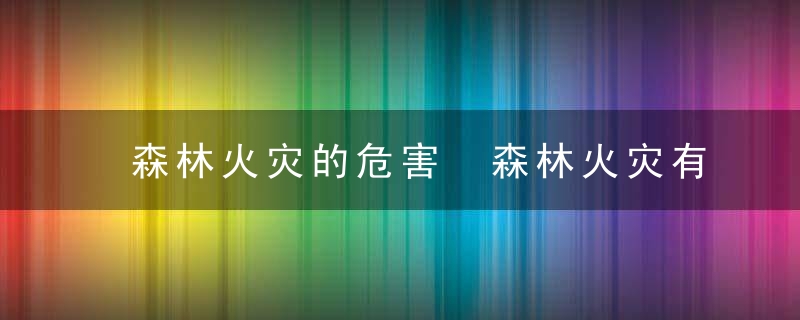 森林火灾的危害 森林火灾有什么危害